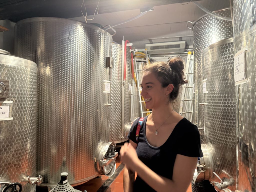 フィレンツェ 町から8kmのワイナリー ワイナリー見学 トスカーナ フィレンツェナビ 松井純子